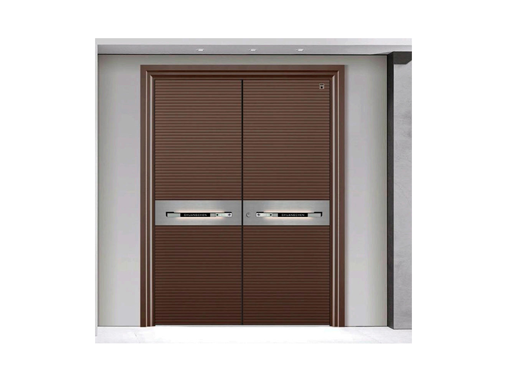 Steel Security Doors